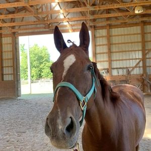 Meet your Posher, Kendall